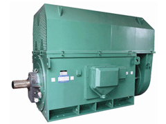 JR158-8Y系列6KV高压电机