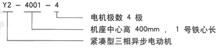 YR系列(H355-1000)高压JR158-8三相异步电机西安西玛电机型号说明